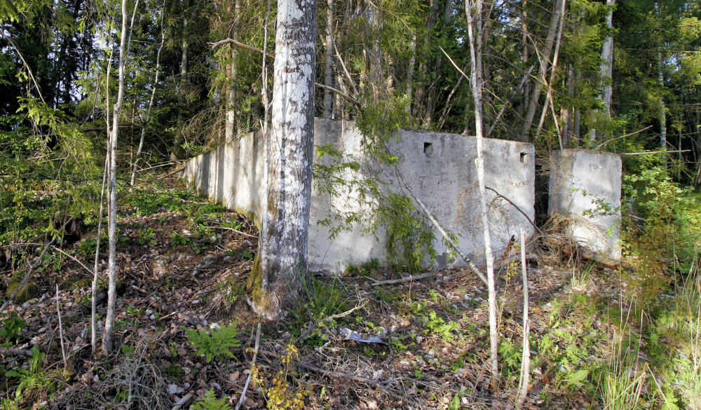 Husgrund i skogen